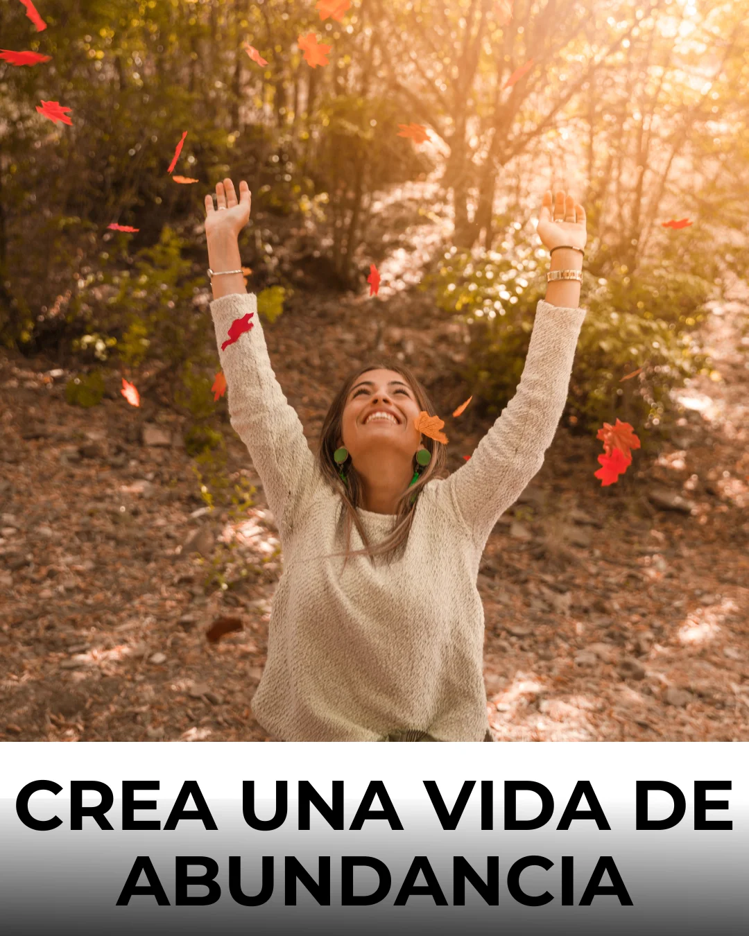 Añadir un título (5)